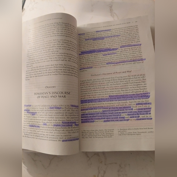 The Norton Anthology Beggingings to 1865 Shorter Tenth Edition American Lit. - Picture 3 of 3